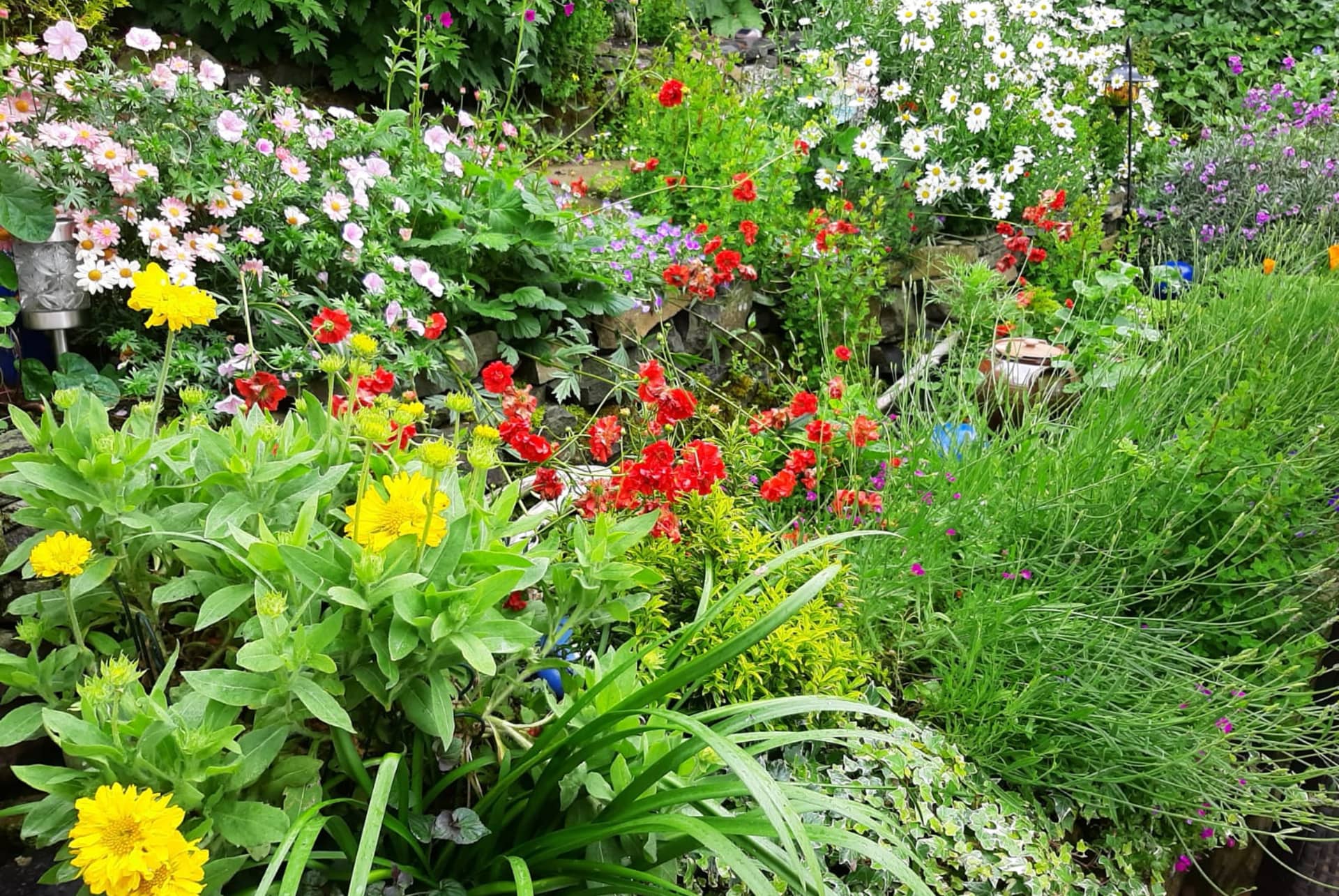 Views and grounds at Arran View B&B, Antrim Coast — gallery 1 of 12