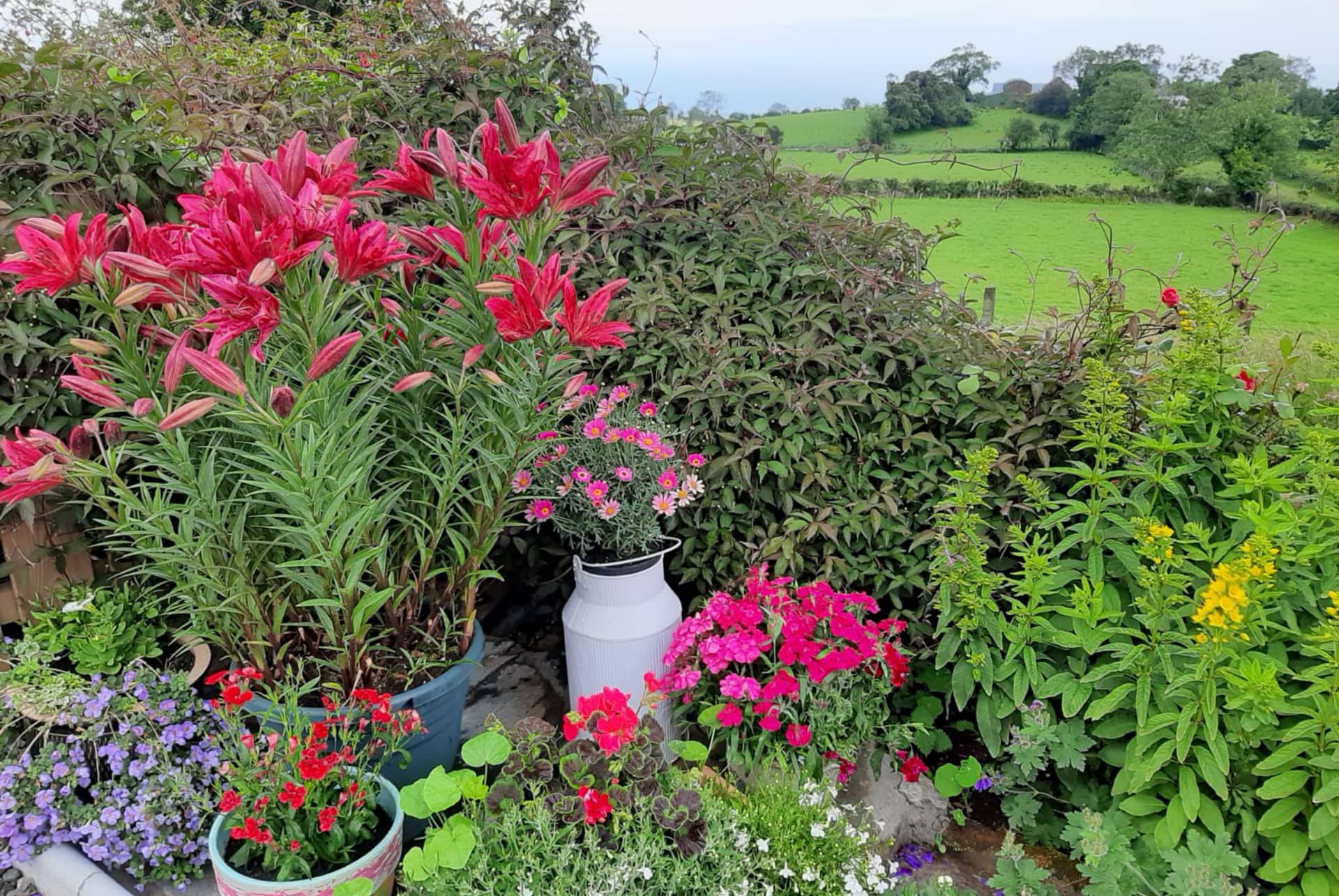 Views and grounds at Arran View B&B, Antrim Coast — gallery 2 of 12