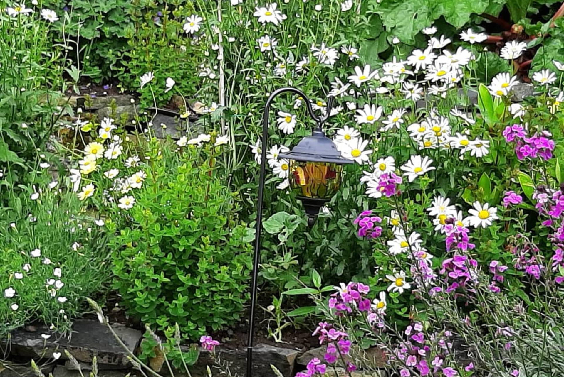Views and grounds at Arran View B&B, Antrim Coast — gallery 4 of 12