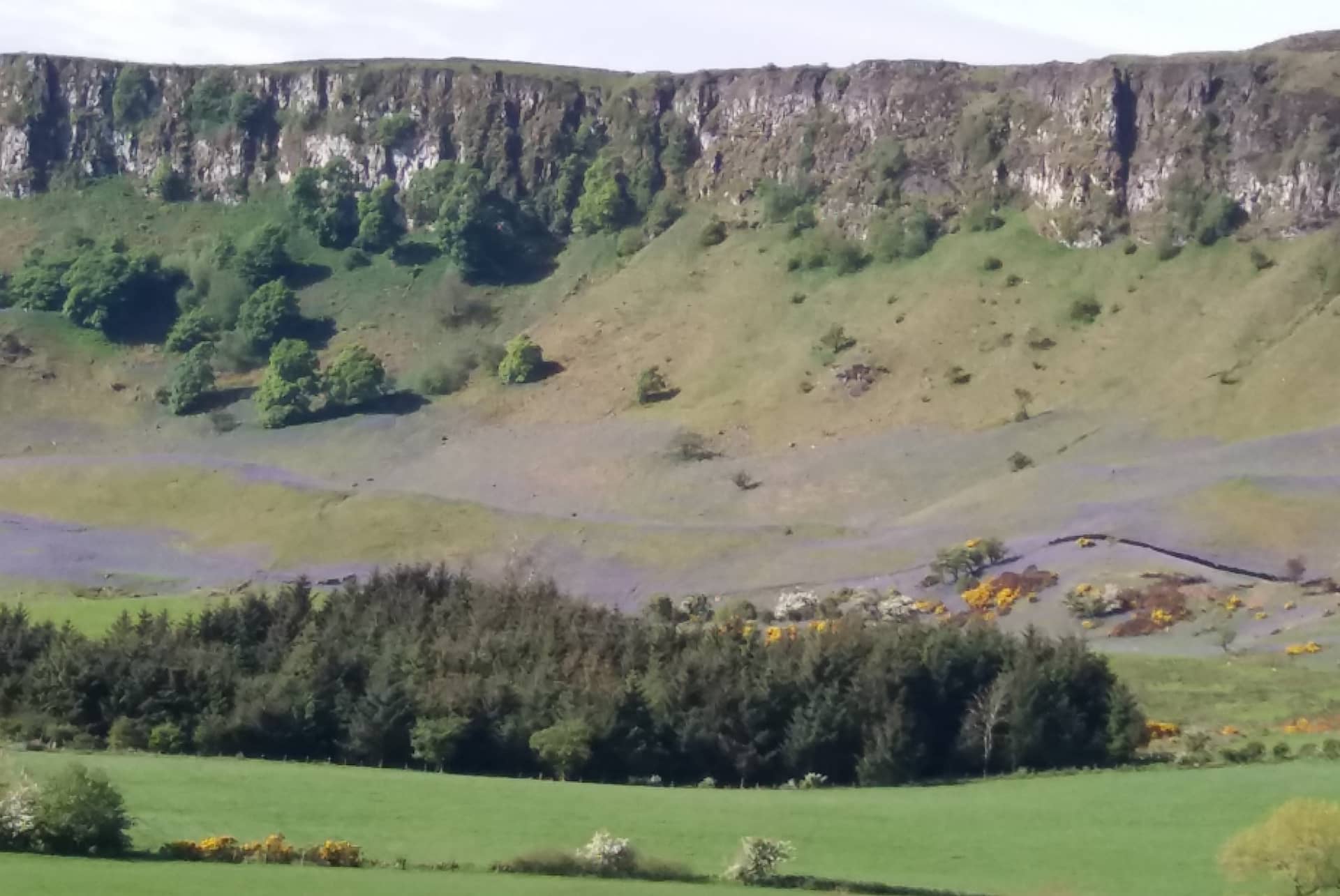Views and grounds at Arran View B&B, Antrim Coast — gallery 9 of 12