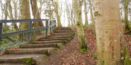 Carnfunnock Country Park — day trip from Arran View B&B, Antrim Coast