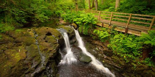 Glenariff Forest & Waterfall — day trip from Arran View B&B, Antrim Coast