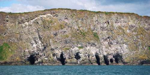 Gobbins Majestic Cliff Walk — day trip from Arran View B&B, Antrim Coast